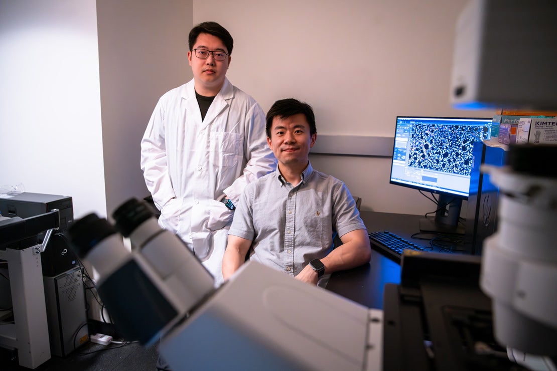 Researchers Jingan Chen and Bowen Li work on an emerging genetic-medicine platform.