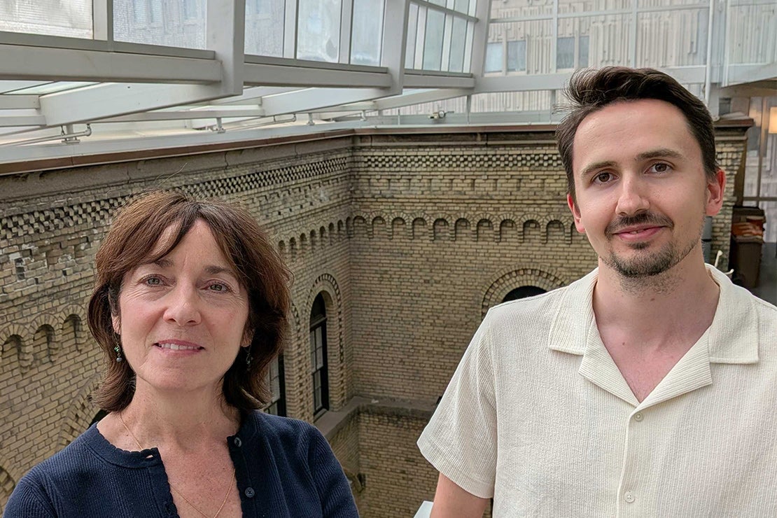 Researchers study the immune pathways involved in Crohn’s disease.