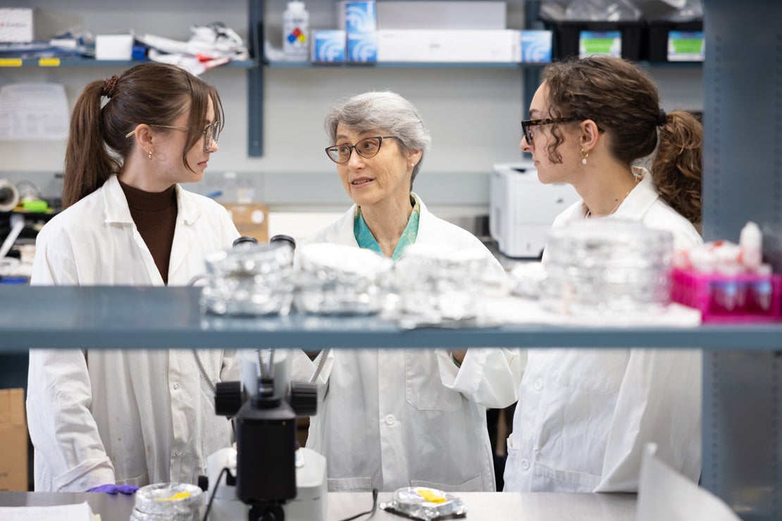 An environmental chemist brings research on persistent chemicals into everyday life.