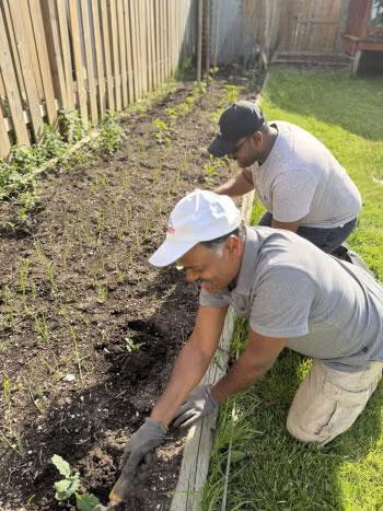 A U of T Scarborough graduate connects food research with community work.