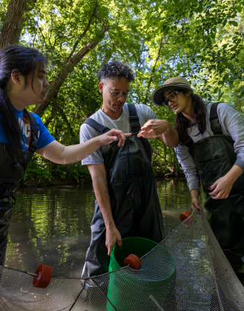 A researcher holds a round goby during work on Great Lakes ecology.