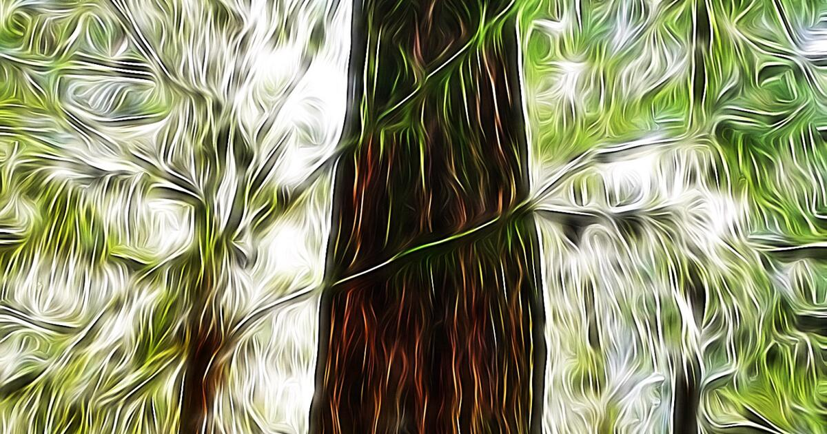 Video Poetry: Utility Pole