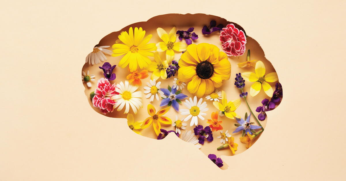 An editorial image for UBC Magazine’s brain-health explainer.