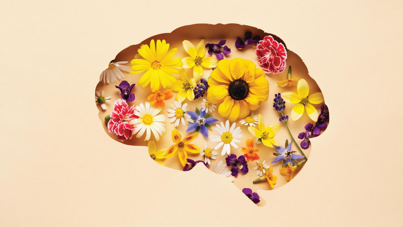 An editorial image for UBC Magazine’s brain-health explainer.