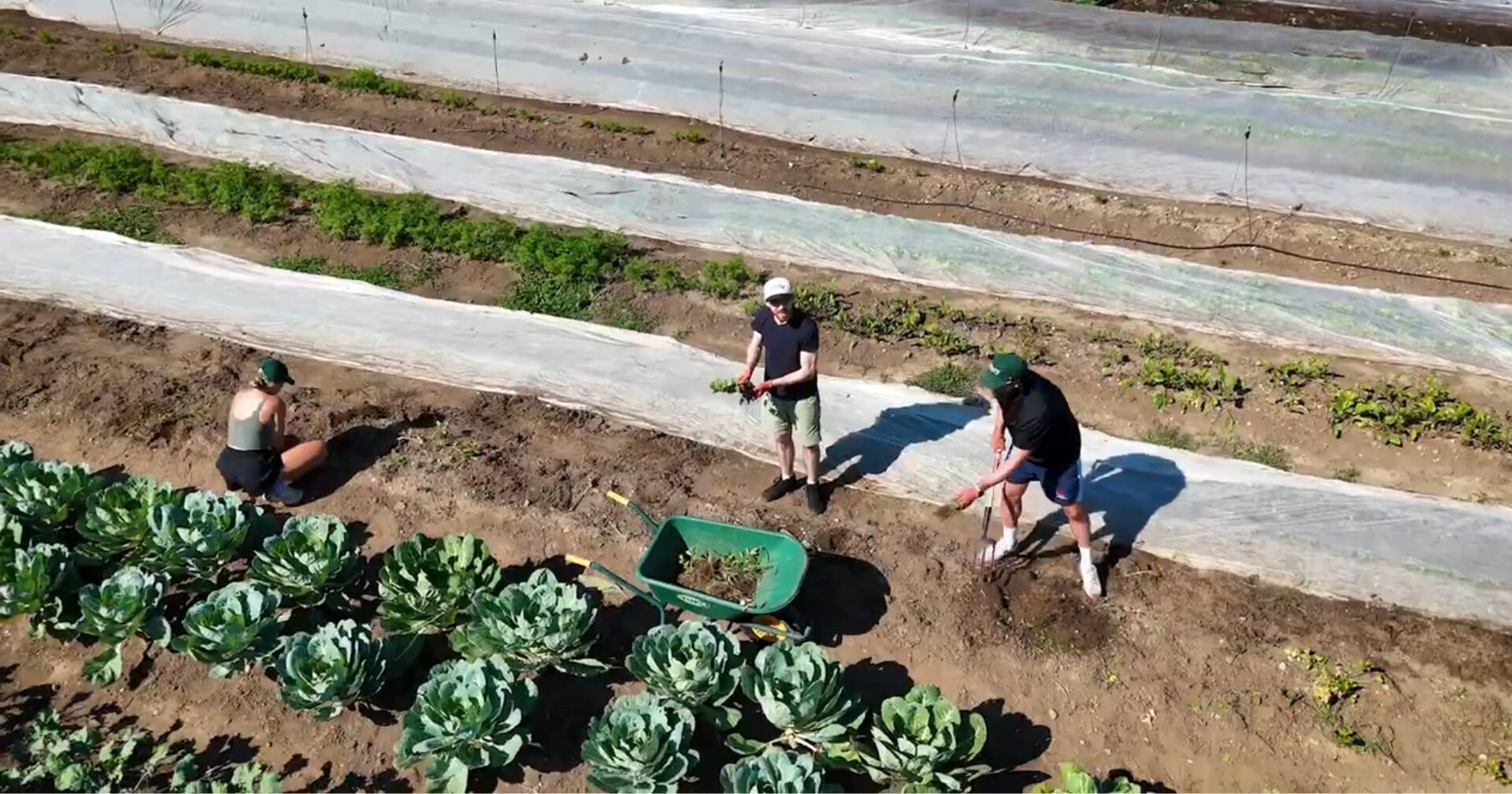 Ivey students give back to community organizations. Official Western News image.